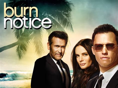 tinyzone burn notice